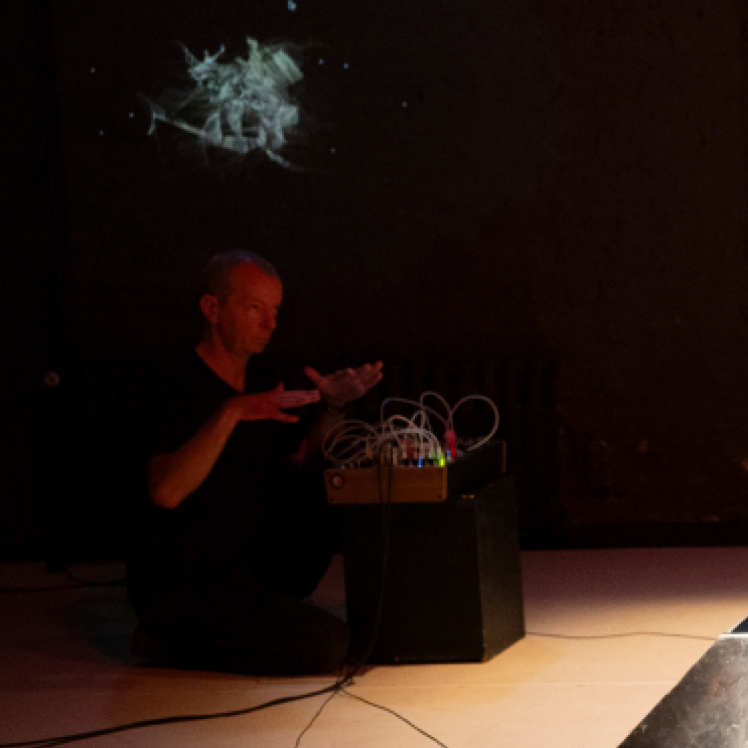 Apricot Productions Performance